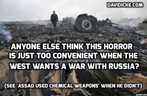 mh17 quote