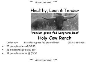 longhorn internet ad