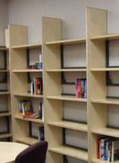 VET HOME empty library shelves 02