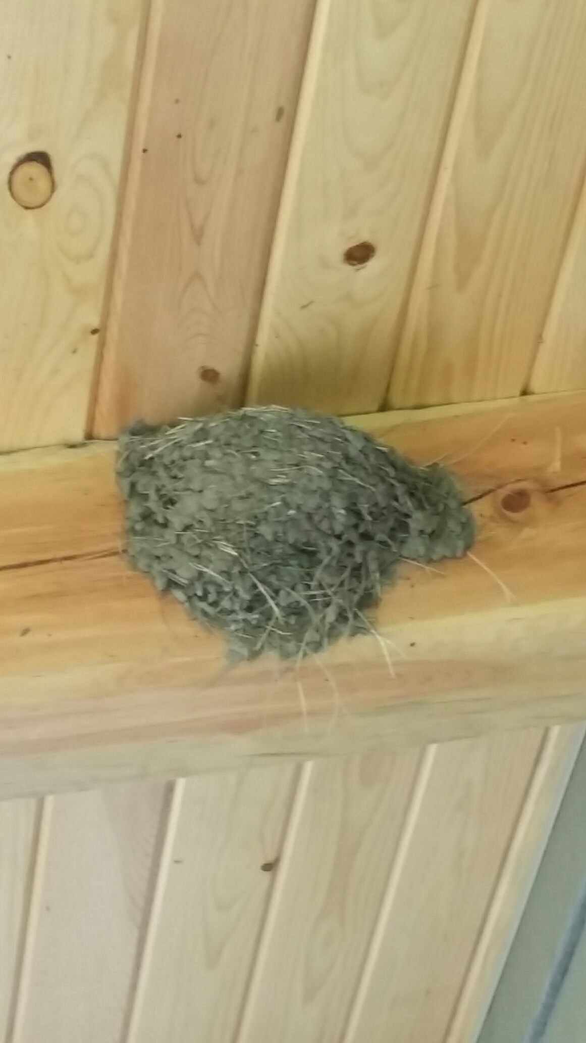 20150622_092757_resized